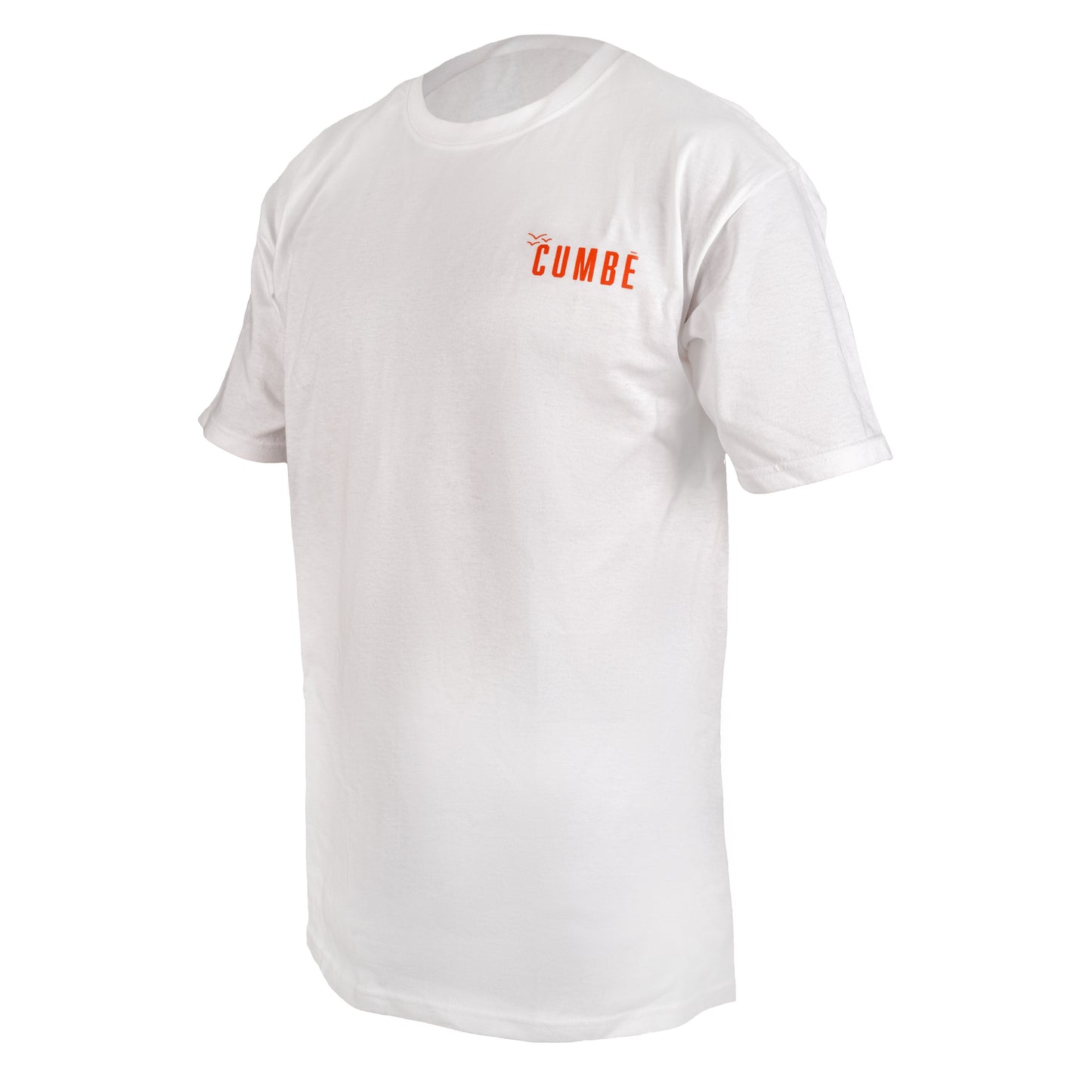 Playera More Parks