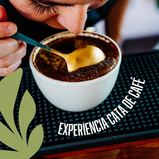 Experiencia cata de café
